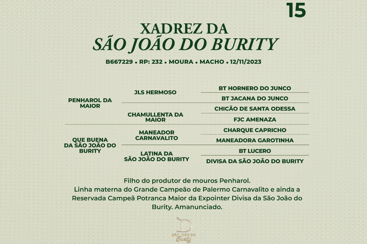 Geração XADREZ DA SÃO JOÃO DO BURITY