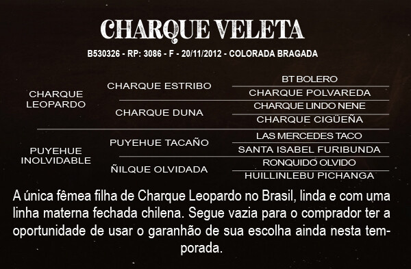 Geração CHARQUE VELETA 