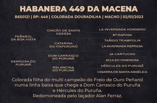 Geração HABANERA 449 DA MACENA