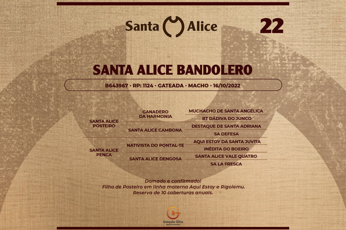 Geração SANTA ALICE BANDOLEIRO