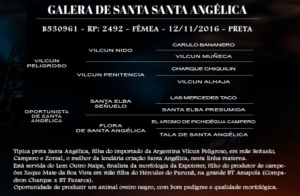 Geração GALERA DE SANTA ANGELICA
