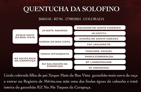 Geração QUENTUCHA DA SOLOFINO