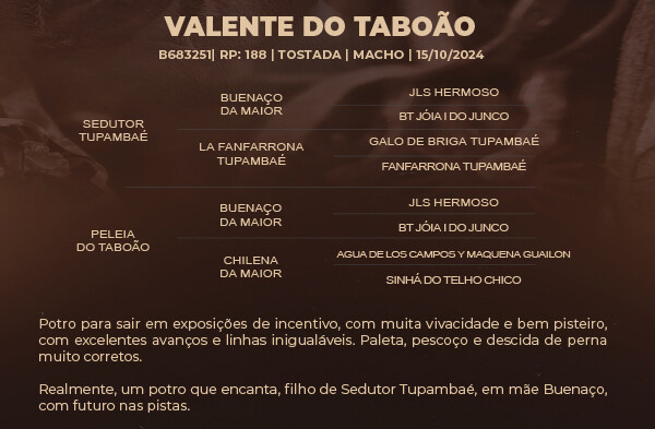 Geração VALENTE DO TABOÃO 