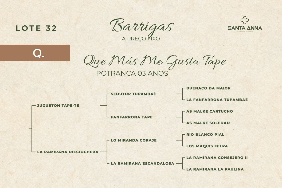 Geração QUE MÁS ME GUSTA TAPE