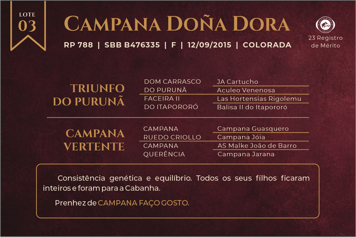 Geração CAMPANA DOÑA DORA
