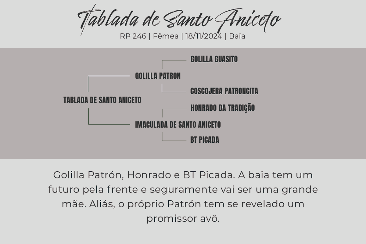 Geração TABLADA DE SANTO ANICETO