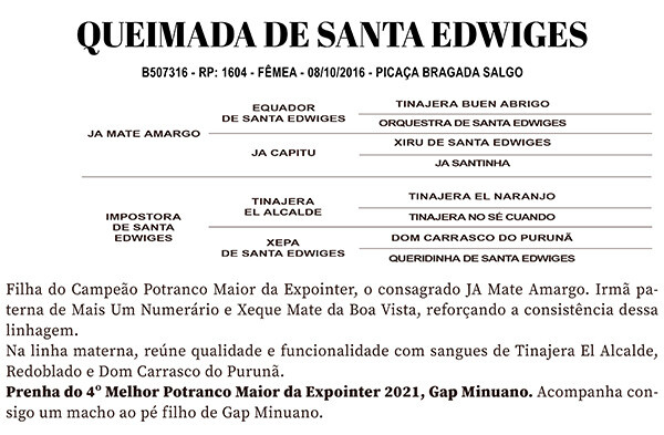 Geração QUEIMADA DE SANTA EDWIGES 