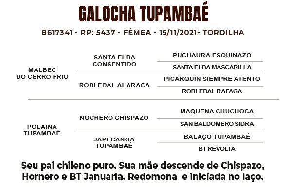 Geração GALOCHA TUPAMBAÉ