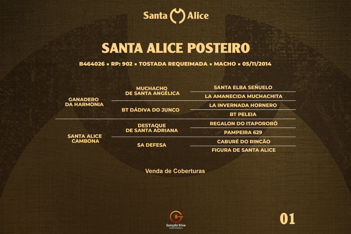 Geração COBERTURA SANTA ALICE POSTEIRO