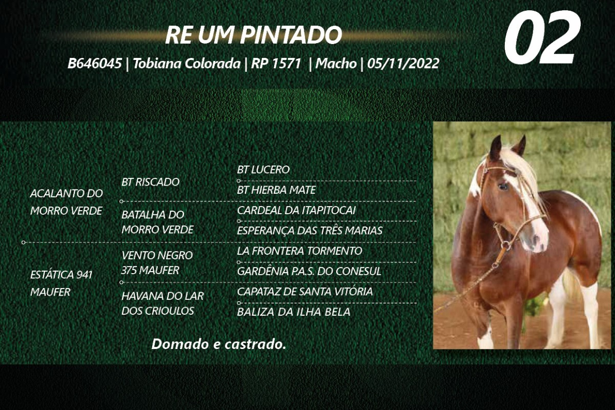 Geração RE UM PINTADO