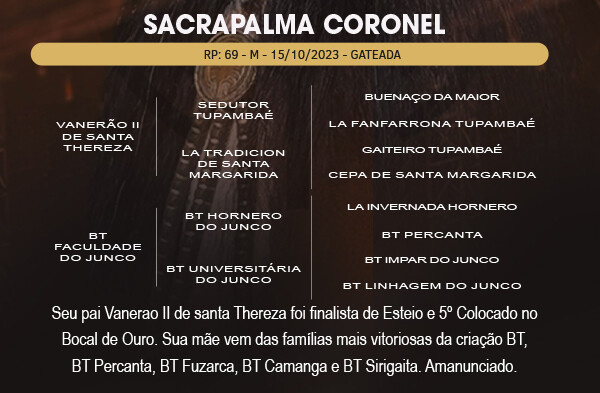 Geração SACRAPALMA CORONEL 
