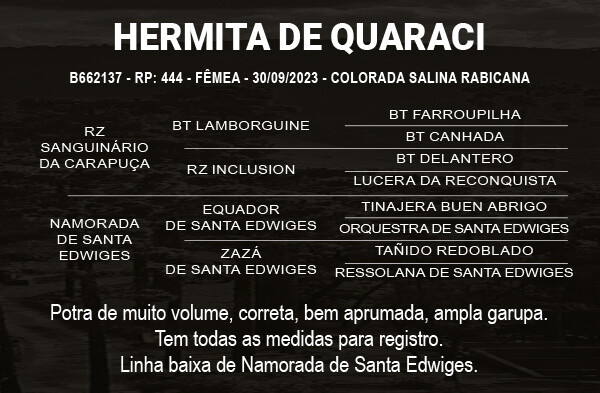 Geração HERMITA DE QUARACI