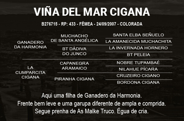Geração VIÑA DEL MAR CIGANA