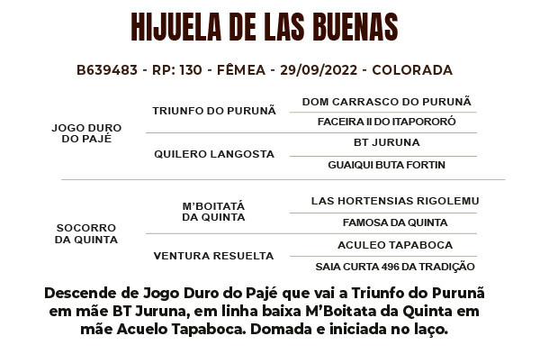 Geração HIJUELA DE LAS BUENAS