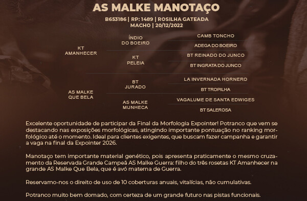 Geração AS MALKE MANOTAÇO 