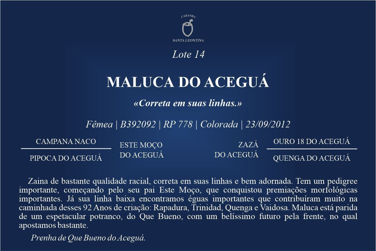 Geração MALUCA DO ACEGUÁ