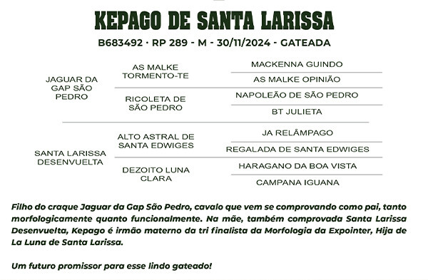 Geração KEPAGO DE SANTA LARISSA