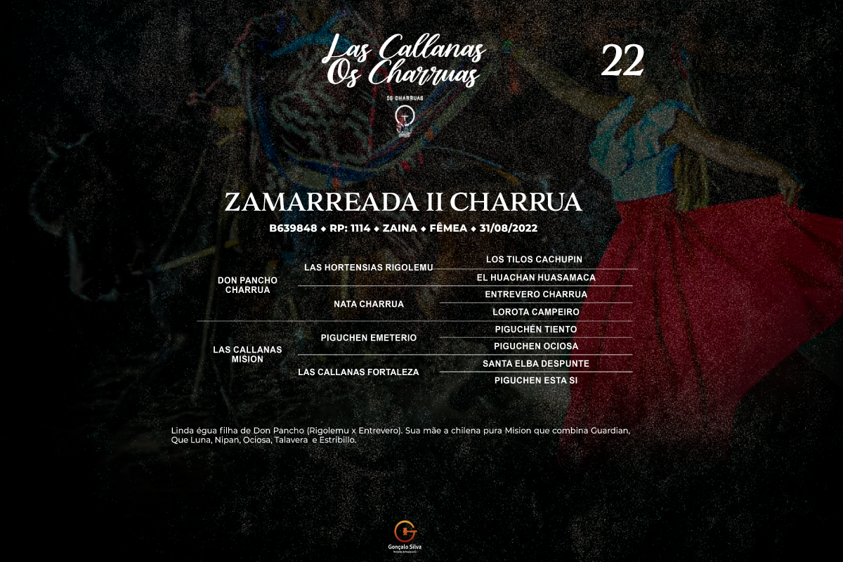 Geração ZAMARREADA II CHARRUA