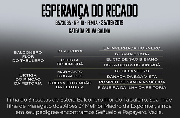 Geração ESPERANÇA DO RECADO 