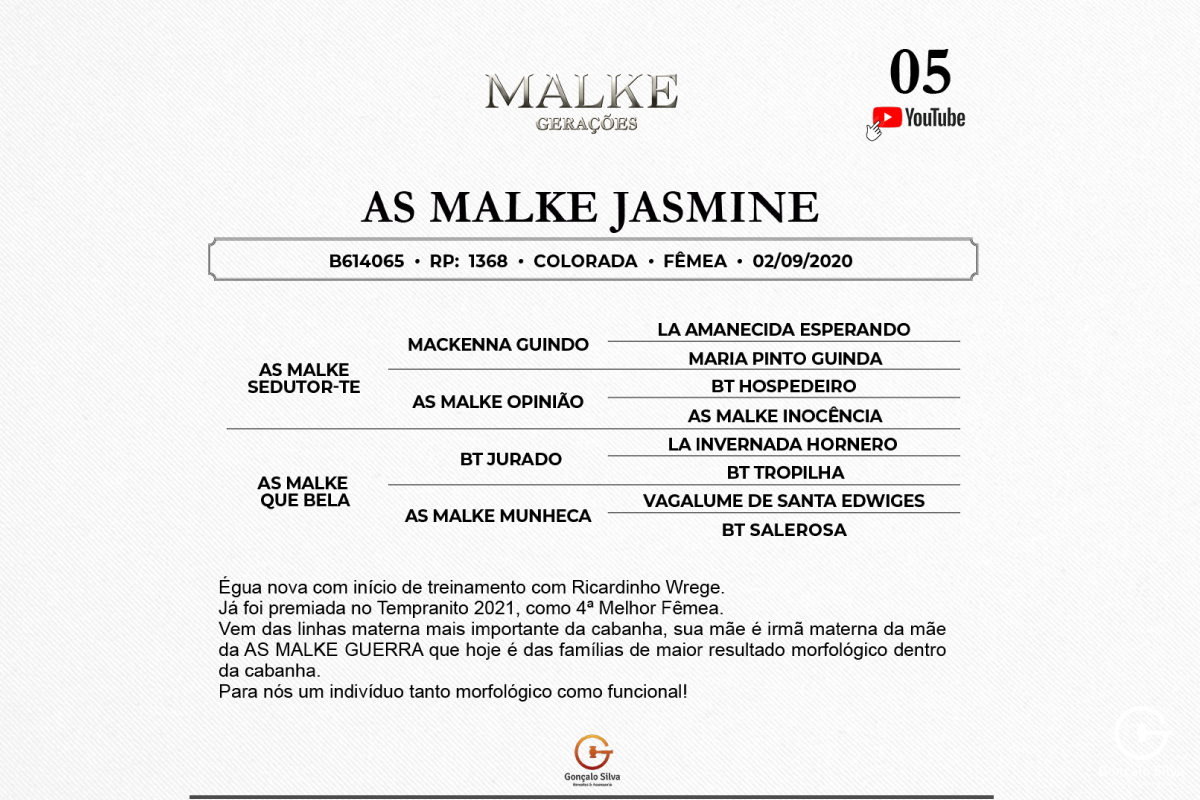 Geração AS MALKE JASMINE