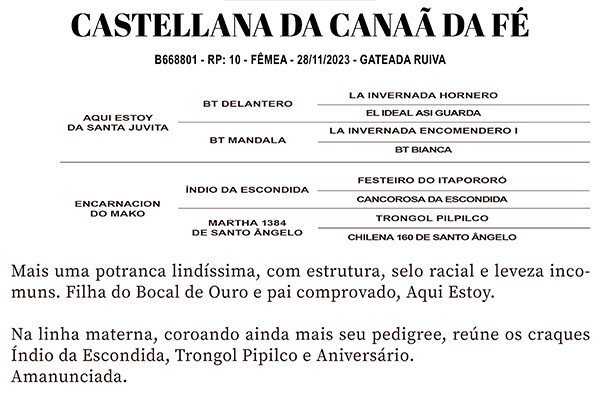 Geração CASTELLANA DO CANNÃ DA FÉ 