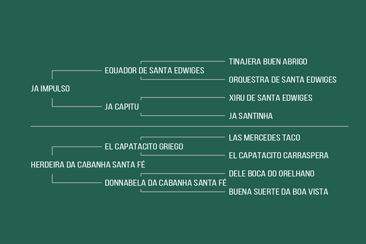 Geração VUELTA DE HONOR DA CABANHA SANTA FÉ