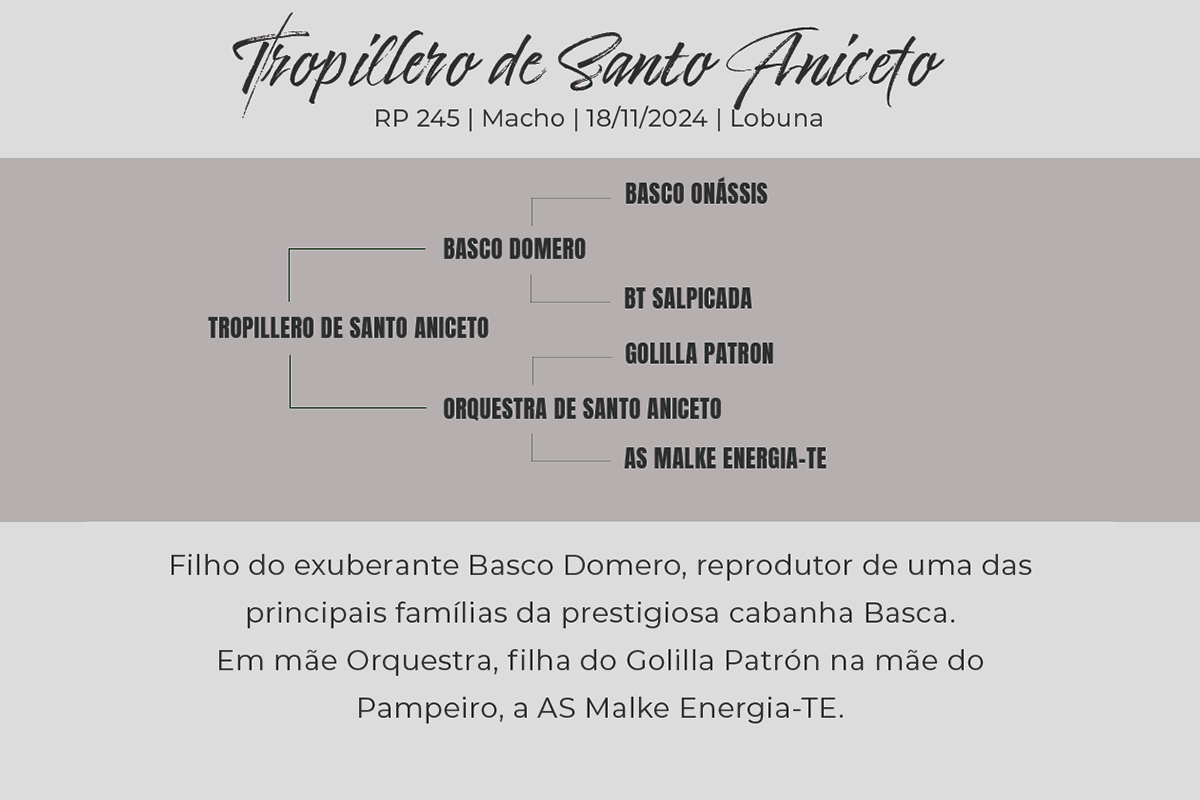 Geração TROPILLERO DE SANTO ANICETO