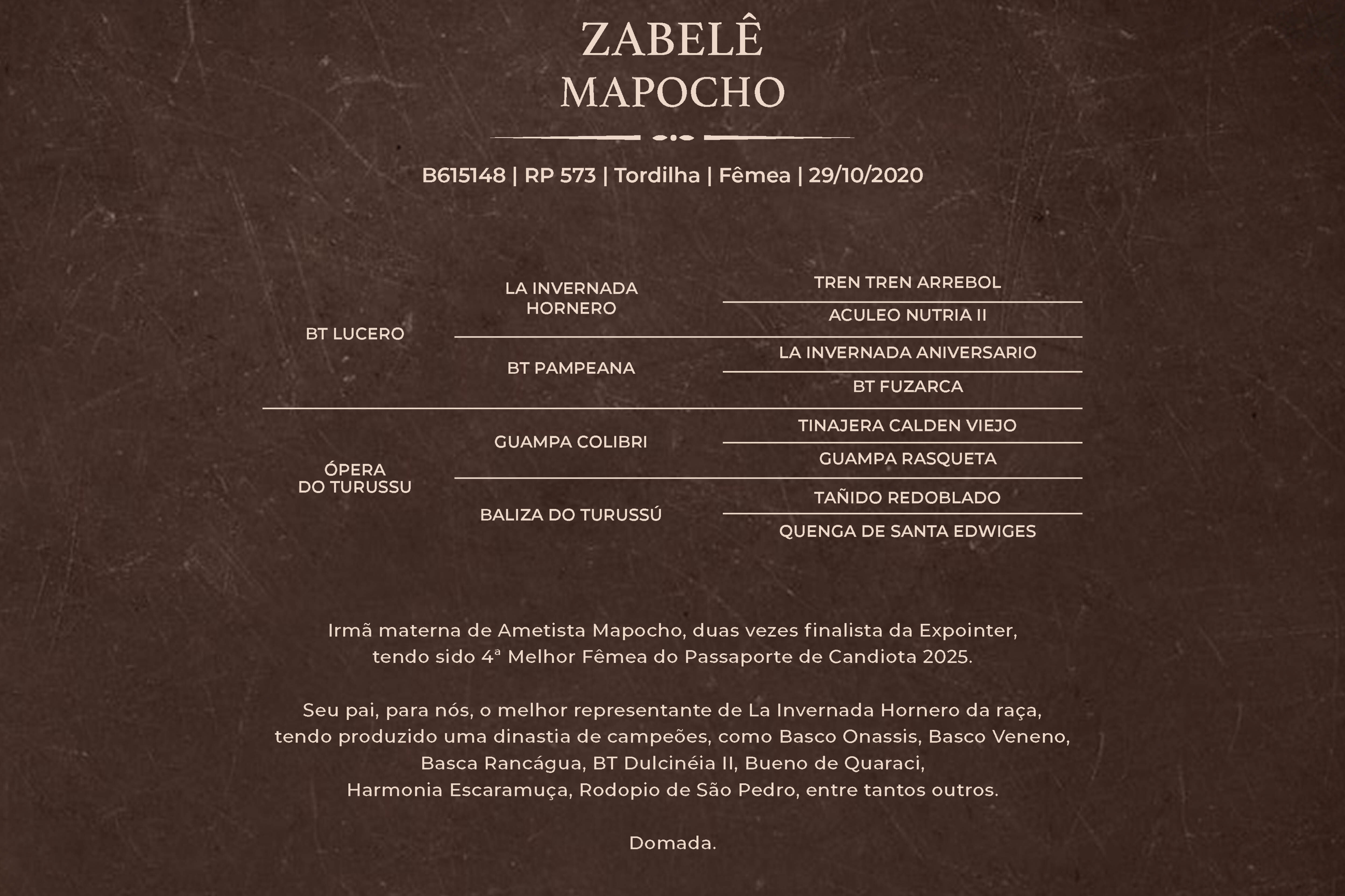 Geração ZABELÊ MAPOCHO