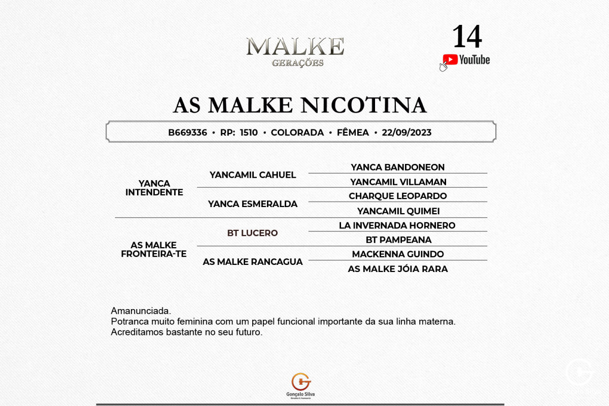 Geração AS MALKE NICOTINA