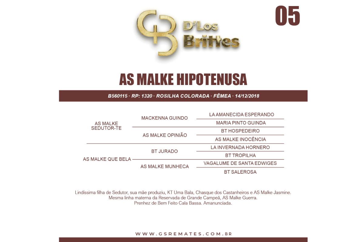 Geração AS MALKE HIPOTENUSA