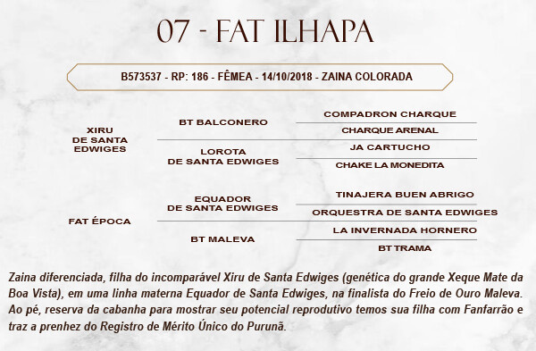 Geração FAT ILHAPA 