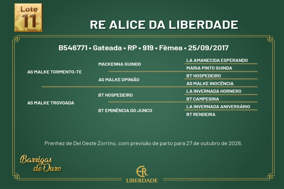 Geração RE ALICE DA LIBERDADE