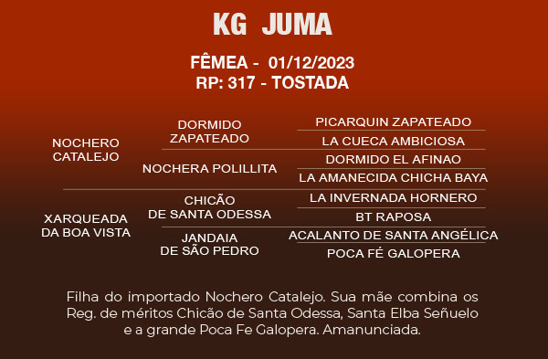 Geração KG JUMA