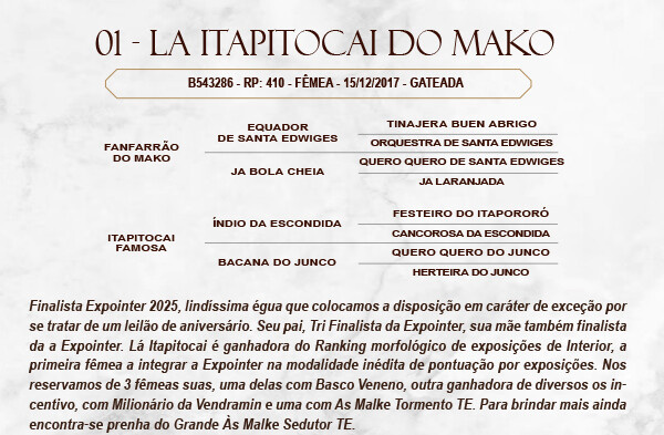 Geração LA ITAPITOCAI DO MAKO