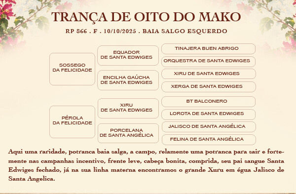 Geração TRANÇA DE OITO DO MAKO