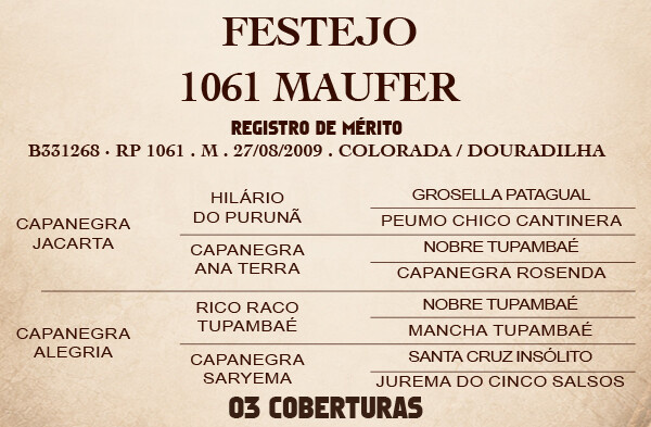 Geração FESTEJO 1061 MAUFER - Cobertura