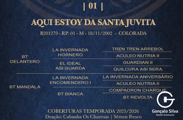 Geração AQUI ESTOY DE SANTA JUVITA 