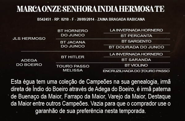 Geração MARCA ONZE SENHORA INDIA HERMOSA -TE