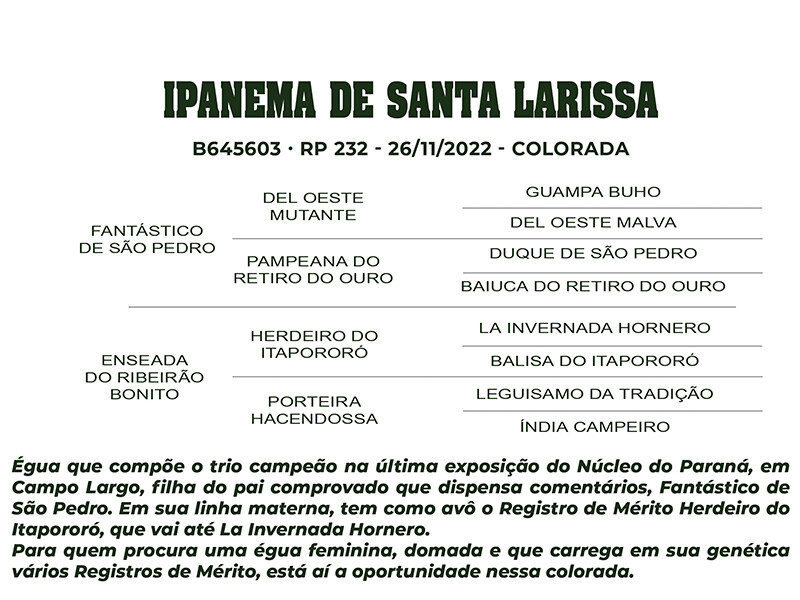 Geração IPANEMA DE SANTA LARISSA 