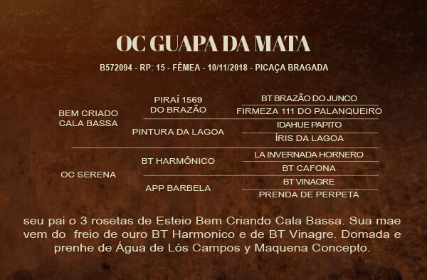 Geração OC GUAPA DA MATA 