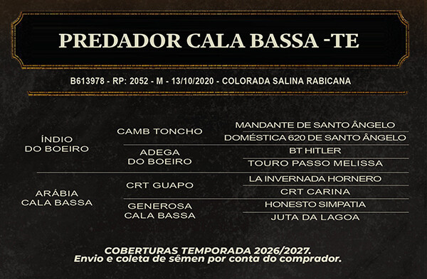 Geração PREDADOR CALA BASSA - TE 