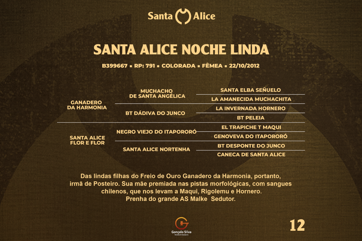 Geração SANTA ALICE NOCHE LINDA 