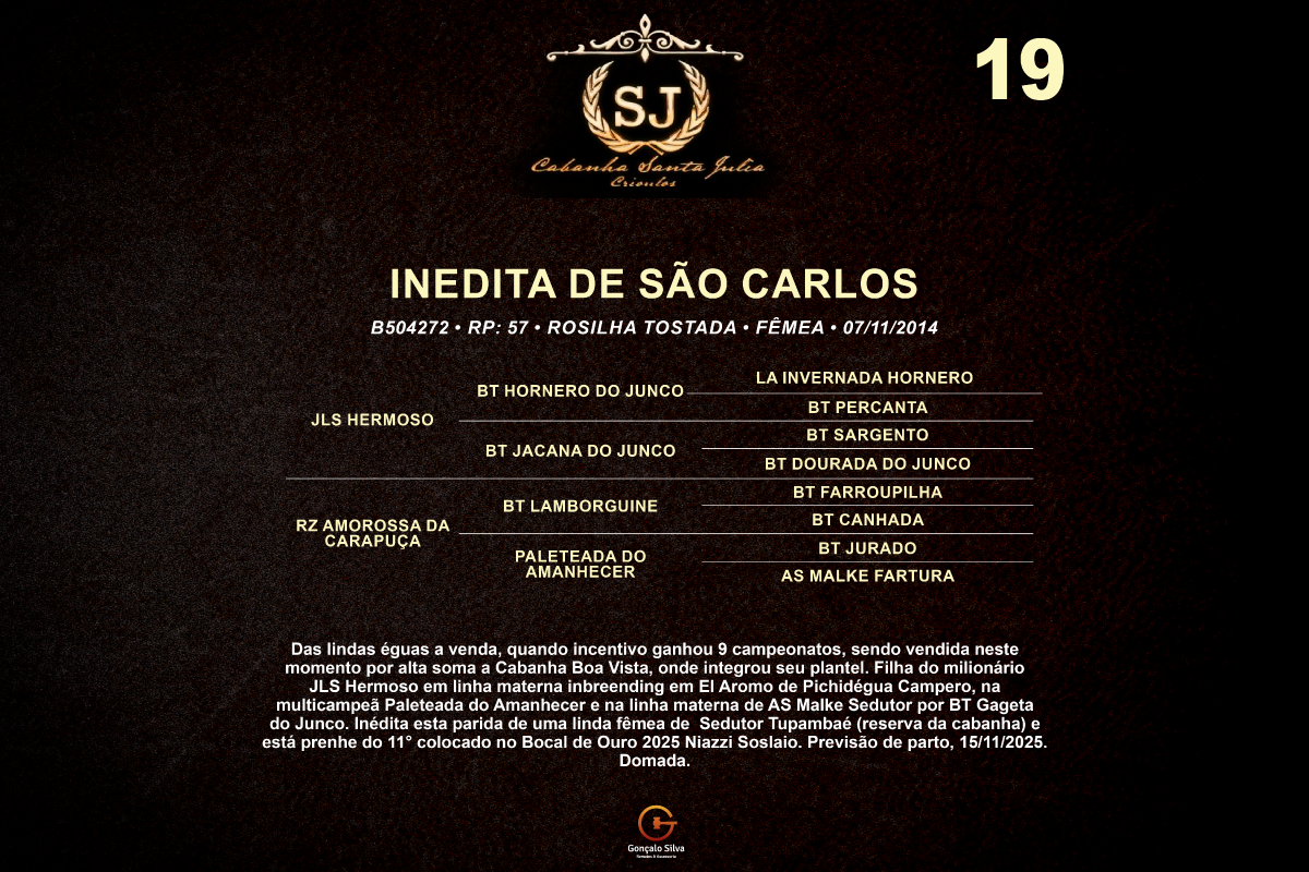 Geração INÉDITA DE SÃO CARLOS 