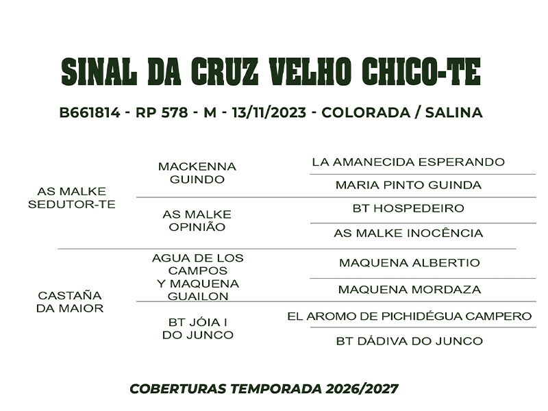 Geração COBERTURA SINAL DA CRUZ VELHO CHICO - TE 