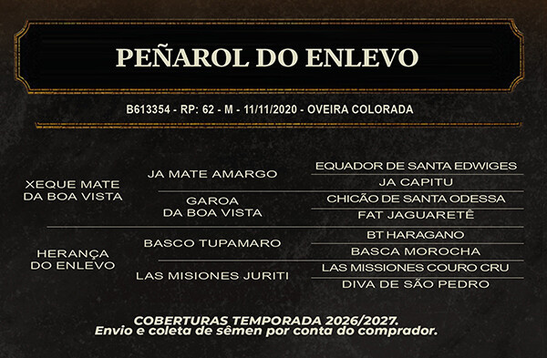 Geração PEÑAROL DO ENLEVO 