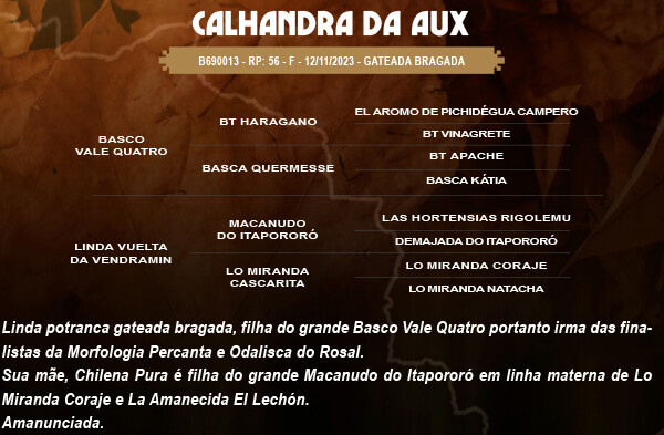 Geração CALHANDRA DA AUX