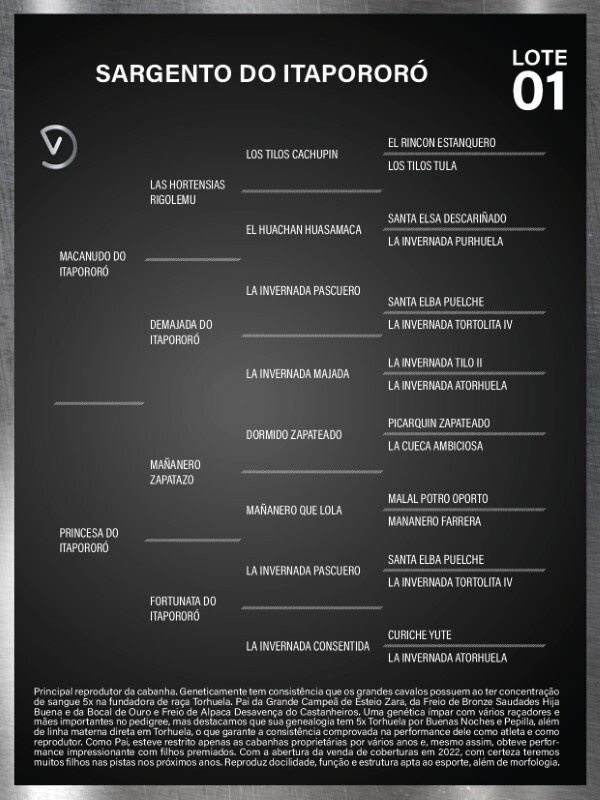 Geração SARGENTO DO ITAPORORO - COBERTURA