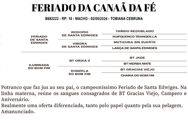 Geração FERIADO DA CANAÃ DA FÉ 