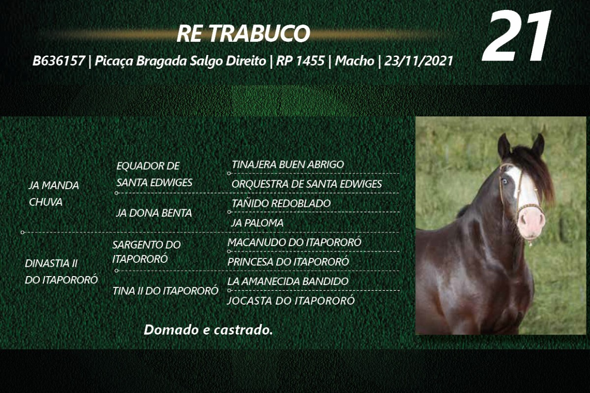 Geração RE TRABUCO