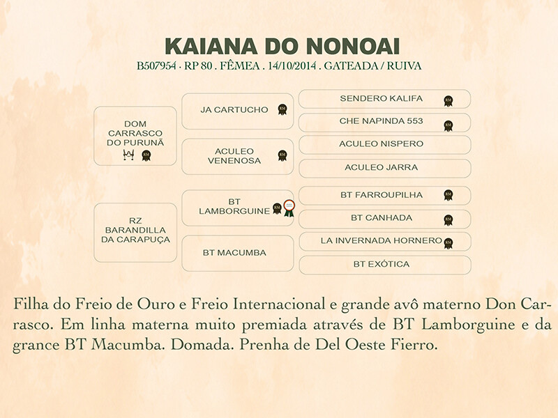 Geração KAIANA DO NONOAI